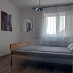 Ardo Vendeghaz Apartament Sárospatak